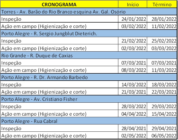 Cronograma