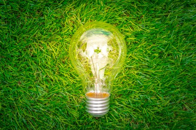 eco-concept-light-bulb-grow-grass.jpg