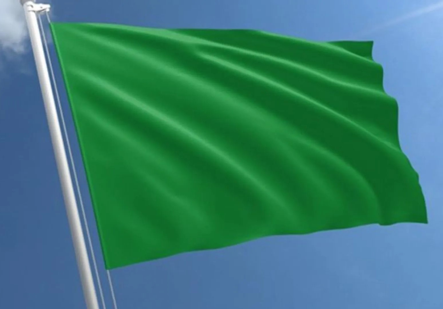 bandeira verde nov.jpg