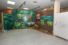 Expo_Fauna_Flora_Gaucha_GM_53712.jpg